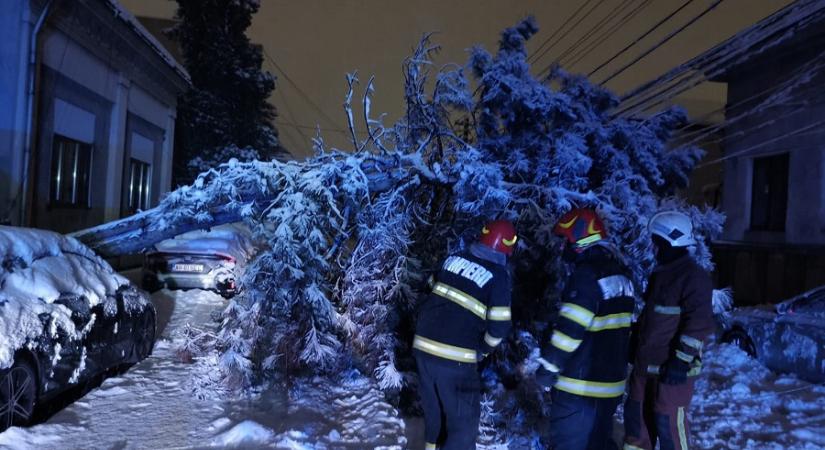 Ítéletidő: Országszerte fák dőltek ki, gépkocsik rekedtek a hó alatt (VIDEÓ)