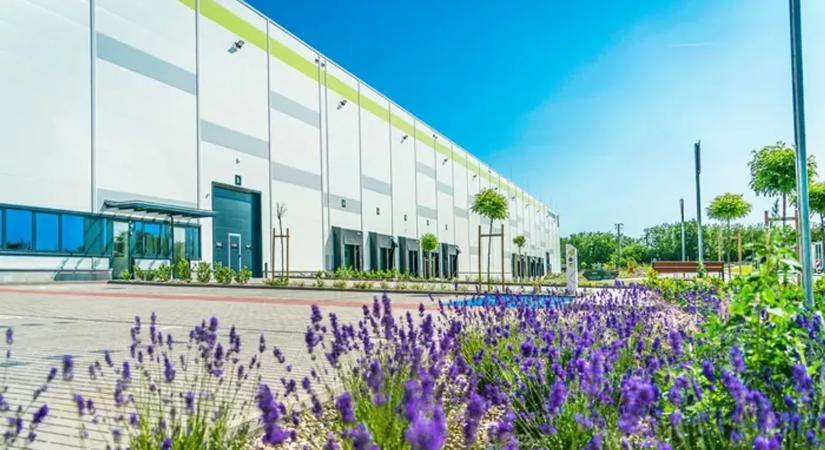 Rekordokkal érkezünk a nemzetközi kiállításra Cannes-ban