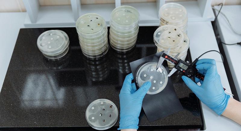 Ötezer éves, antibiotikumra ellenálló baktériumot fedeztek fel az erdélyi jégbarlangban