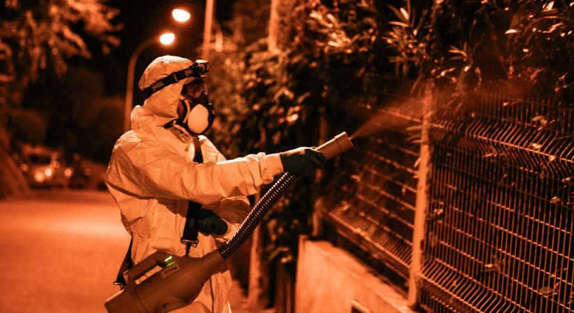 Trópusi láz terjedhet Európában a szúnyogok miatt