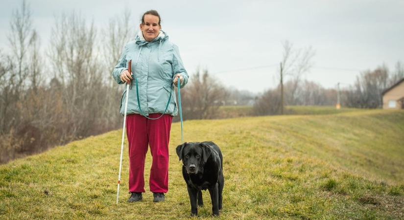 Nyugdíjba ment Dolly, a hűséges vakvezető kutya - fotók