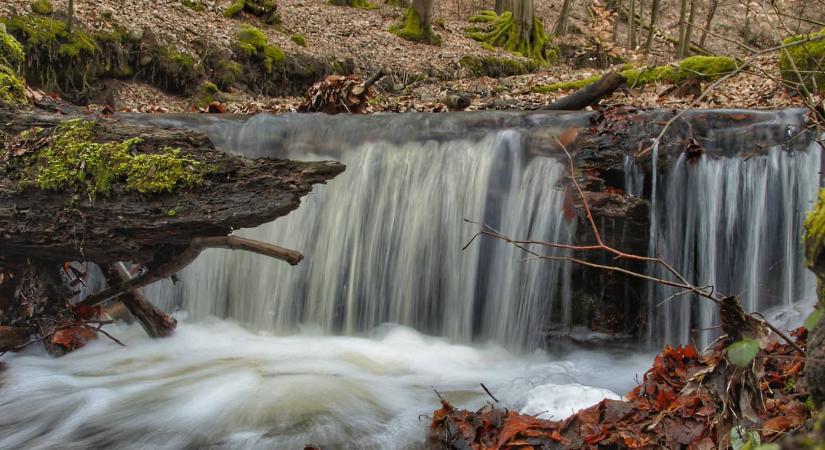 A dömösi Malom-patak és völgye a Dunakanyar kapujában