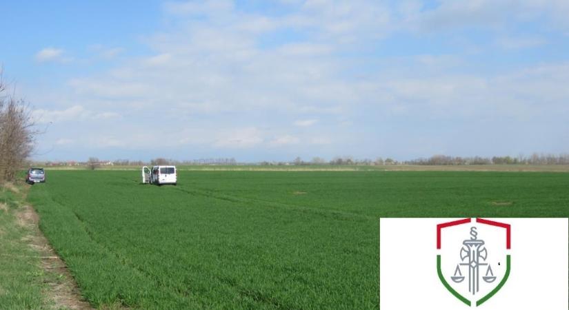 Nem zavarja, ha más autóját vezeti