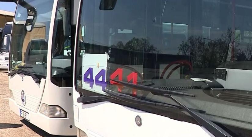 Nem ingyen van az ingyenes buszjárat vásárhelyen: kiderült az ára és ezen mindenki meglepődött