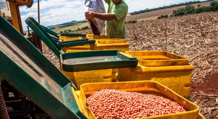 A sokéves átlag igazolja a szója létjogosultságát