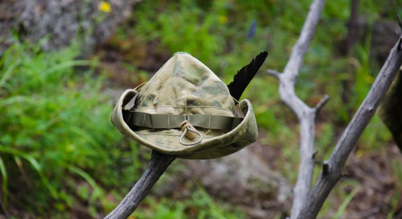 Robin Hood és a kormány