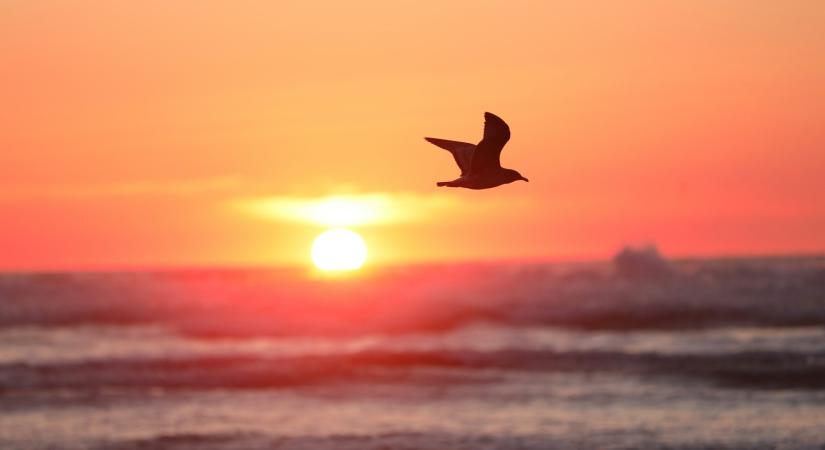 A J.P. Morgan szerint a Bitcoin 266 000 dollárra repül 2026 végére