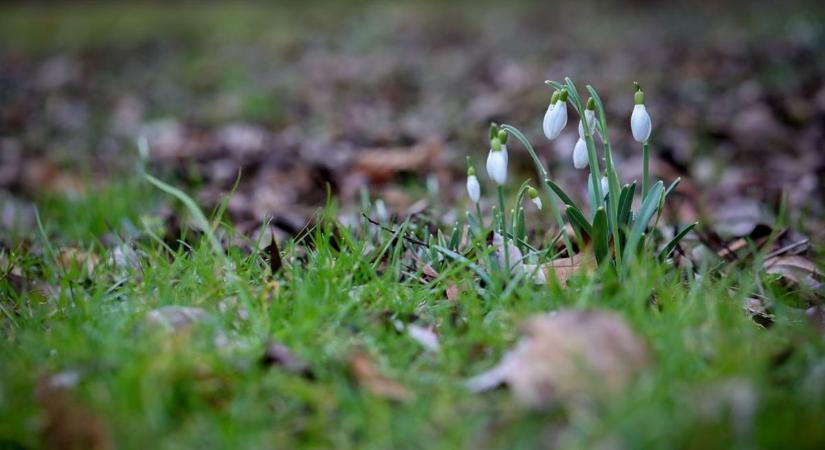 Már csak ez hiányzott! Akár 15 centiméter hó is eshet Tolnában!