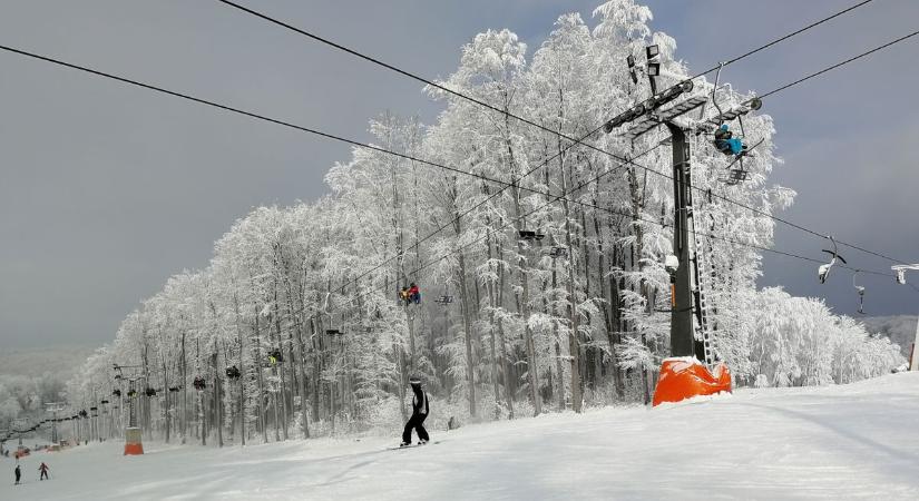Felgyűlt az energia: közel másfélszeresére nőtt Soós Csaba szavazóereje az ENEFI-ben