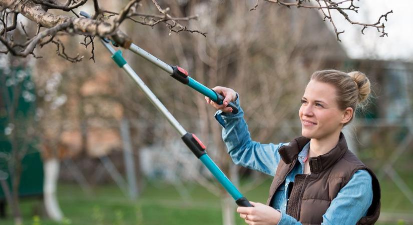 Tavaszi növényvédelem: Miért sínylődik a kerted, miközben „jó idő van”?