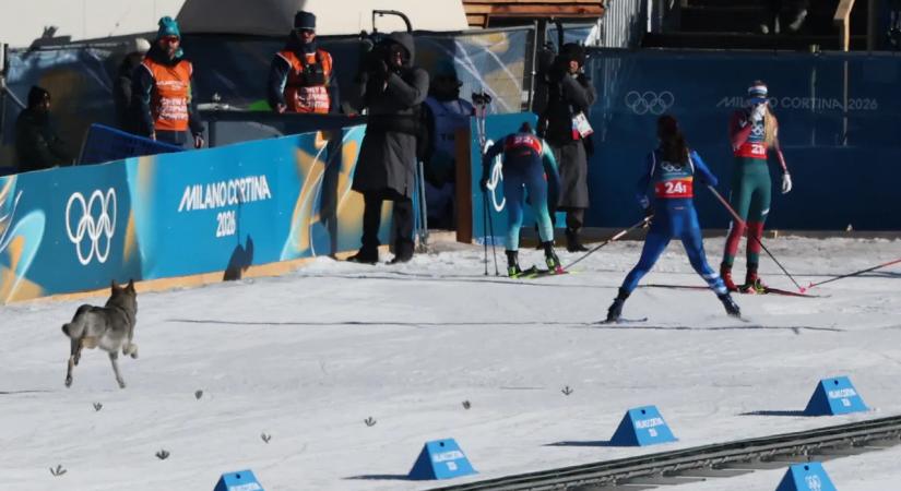 Egy váratlan vendég beért a női sífutók szabadstílusú csapatsprintjében – videó