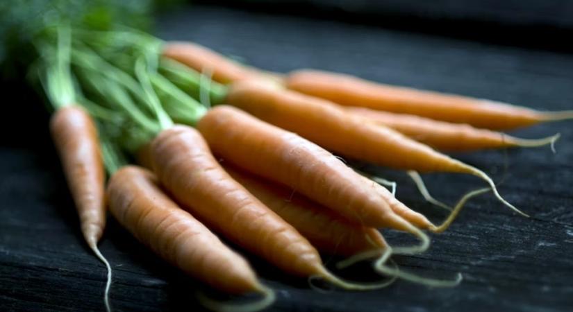 Tényleg jobban látunk a répától? – A háborús legenda és a valóság