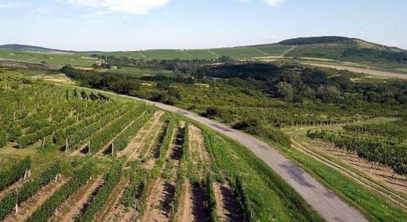 Szenzációs hely nyílik a Borsod megyei turistaparadicsomban, szintet lép a gasztronómia