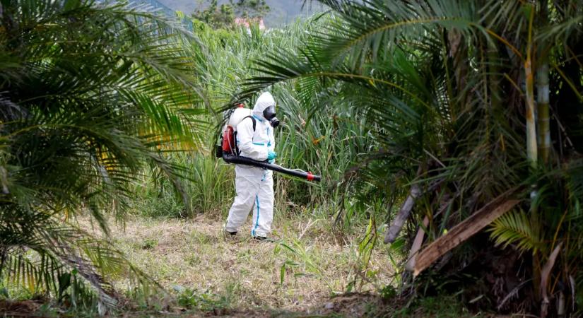 Európa nagy részén terjedhet a chikungunya-vírus egy tanulmány szerint, itthon az év öt hónapjában is lehetnek fertőzések