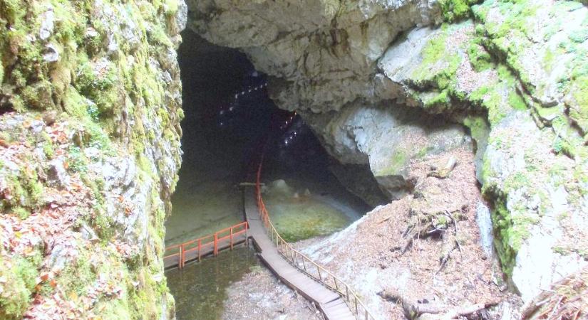 Ötezer éves baktériumtörzset fedeztek fel Erdélyben