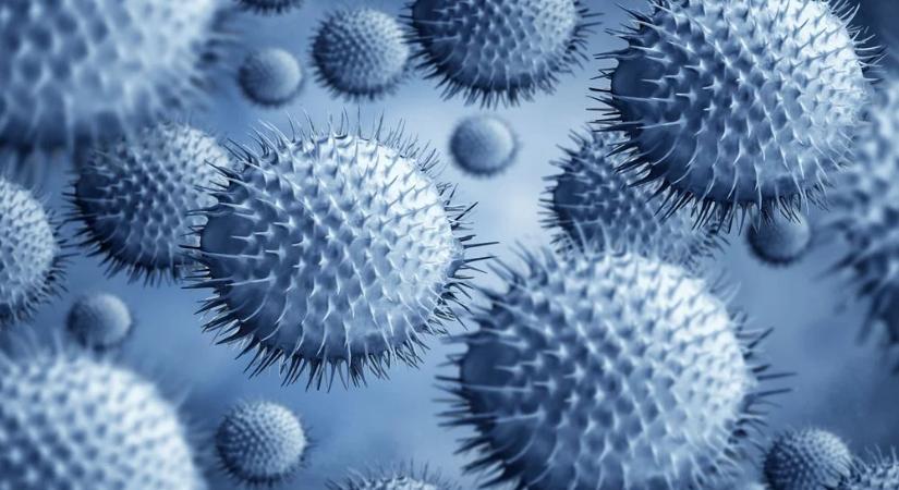 Új szexuális fertőzés terjed: hónapokig kezelik, gyakran félrediagnosztizálják