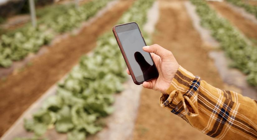 Frissítsen most, vagy bajban lesz!