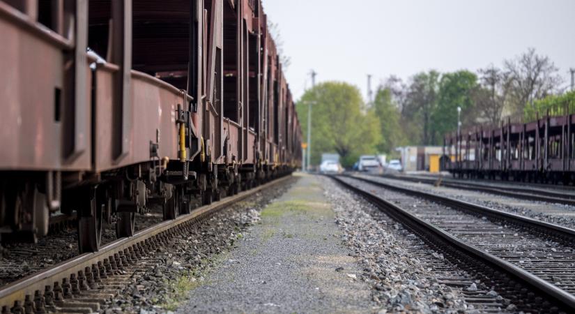 Hajmeresztő jelenet Miskolcon: a vasútőrt megdobták, aztán megharapták