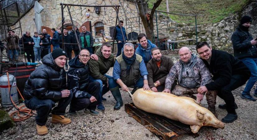 Amerre Orbán Viktor jár, arra pénzeső hullik