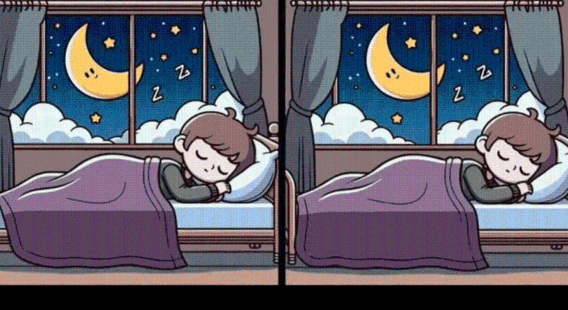 Az emberek 80%-ának nem sikerül: csak a legélesebb szeműek találják meg 10 másodperc alatt a különbségeket