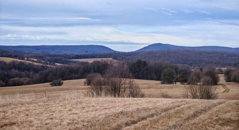 Bakonyi csodakövek titka – Moai faragványok vagy az ördög szántása? (képgaléria)