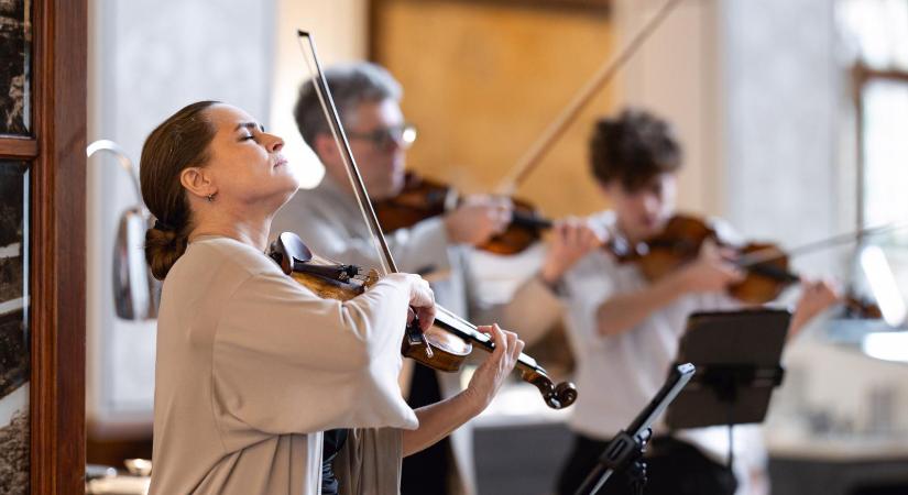 A művészet szerelmesei