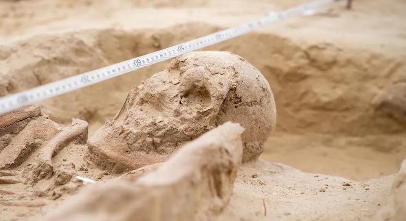 Kincset érő leleteket ástak ki az M1-es autópályán zajló munkálatok során – fotók