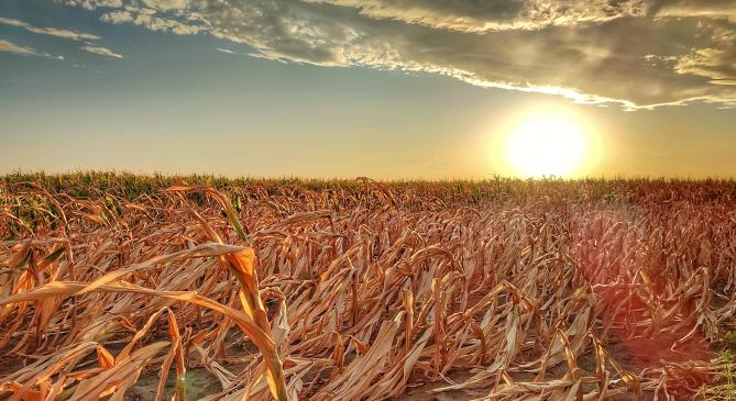 Hőmérsékleti rekordokat, valamint szélsőséges időjárási jelenségeket hozhat egy újabb El Niño