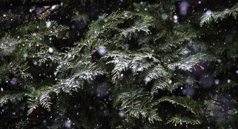 Készülj! Akár 20 centi hó is eshet a Bakonyban, mutatjuk a részleteket