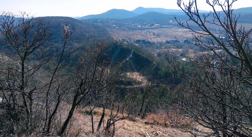 Túra a Budai-hegységben – Remete-szurdok, barlang és tanösvény