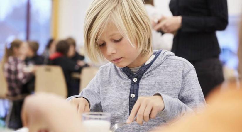 Hiába volt szilánk az ételben, továbbra is főzhetnek a gyerekeknek – Csak pénzbírságot kaptak a vádlottak