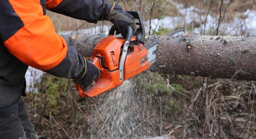 Láncfűrész tél végén: milyen olaj kell a hidegben, és mit nézz át?