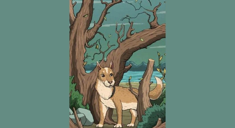 Az emberek 99%-a elbukik ezen a feladaton: te megtalálod a macskát a képen?