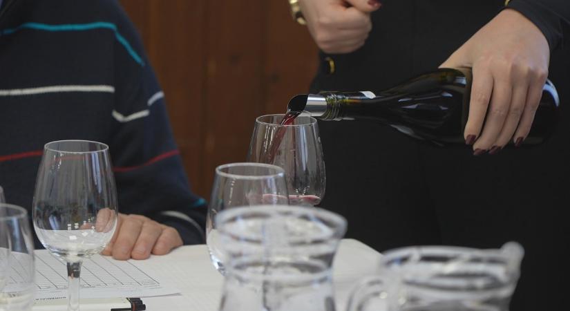 Megválasztották a község borát is