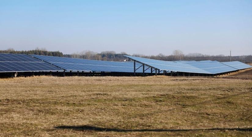Újabb napelempark kezdte meg működését Kiskunhalas határában, 25 ezer háztartást láthat el árammal