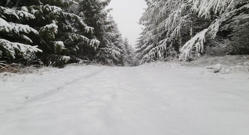 Akkora havat várnak Vas megyére, hogy még az operatív törzs is megszólalt miatta
