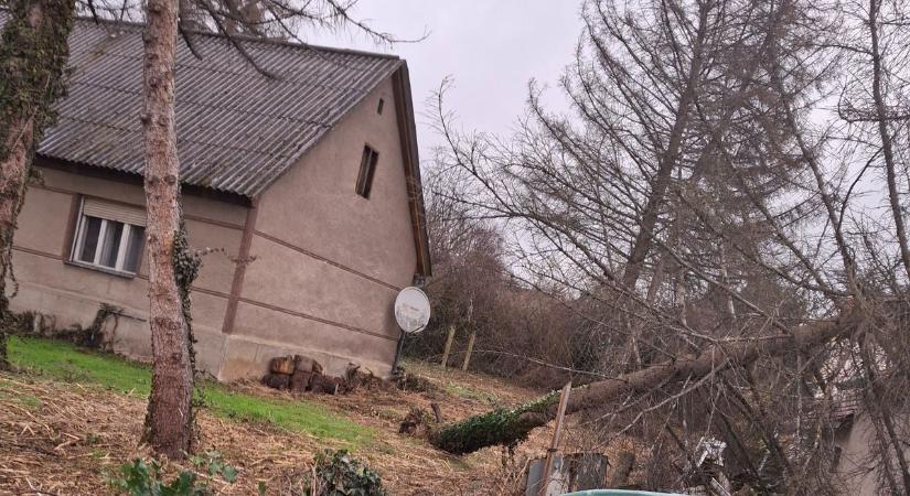 Megvárták, míg megtörténik a baj – továbbra is félelemben él a család