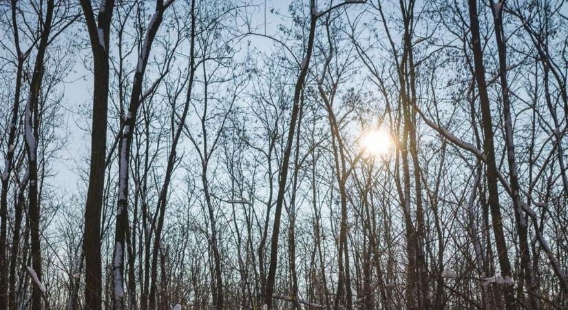 Hó csaphat le Borsod-Abaúj-Zemplénre? Meglepő fordulatot tartogathat a holnapi időjárás!