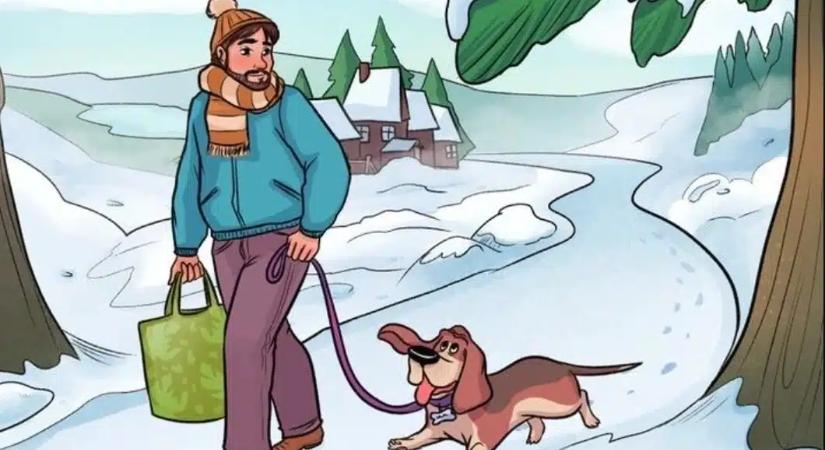 Briliáns elme vagy, ha 11 másodperc alatt kiszúrod a hibát a képen