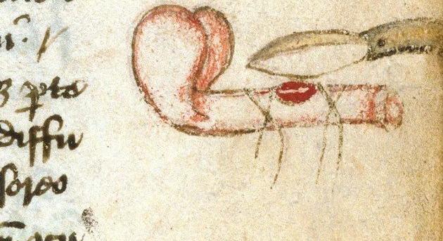 A középkor viagra teái – hogyan növelték a potenciát a 10. században?