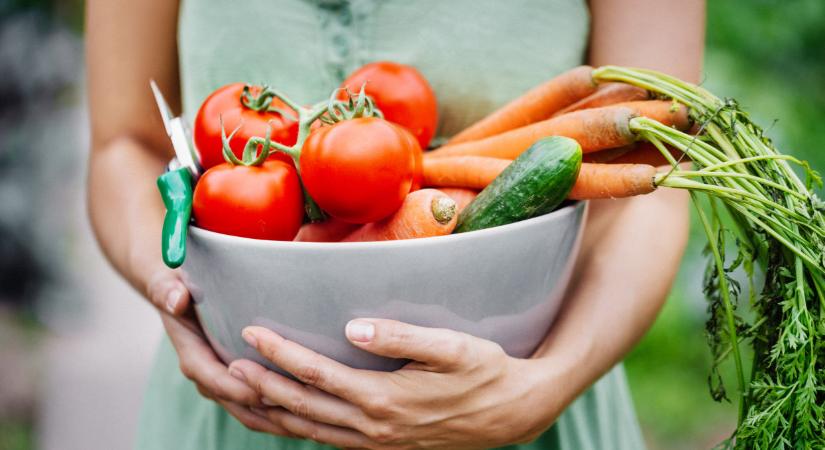 Valamit nagyon tudnak a lengyelek: durva, mit csinálnak a földeken