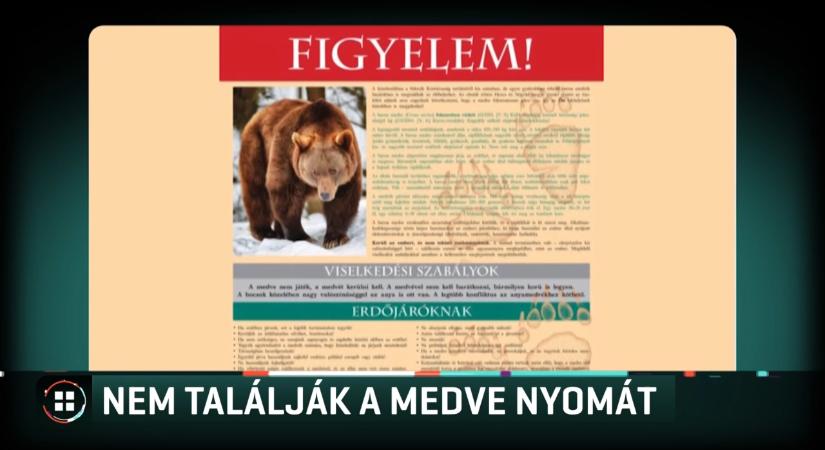 Kedden még úgy tűnt, medvét észleltek Mogyoródon, szerdára megvizsgálták a környéket, de nem találtak medvére utaló nyomot