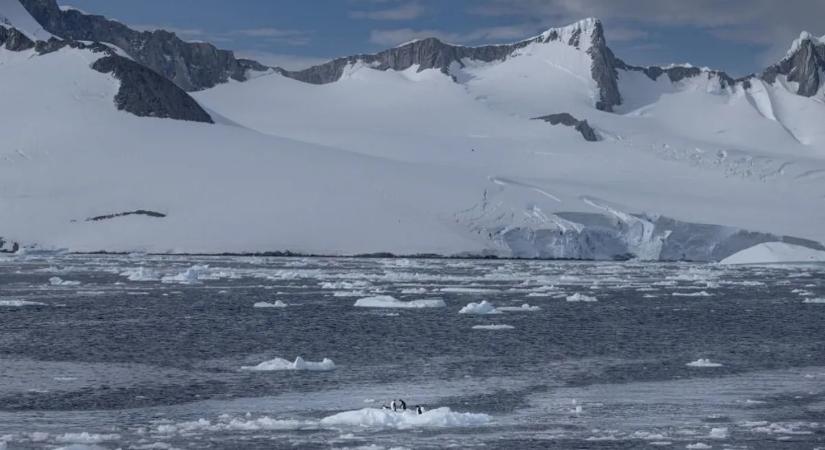 Olyan dolog történt az Antarktiszon, amire korábban soha nem volt példa – videó