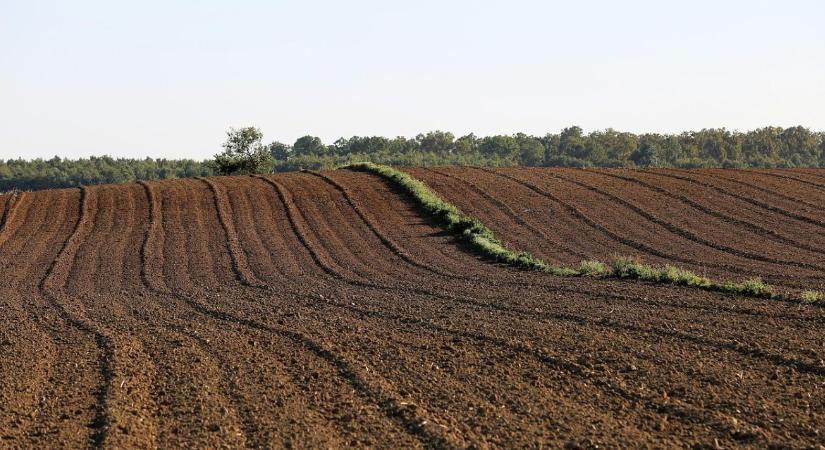 Regen Compass: Az útmutató, ami átírhatja a 2027 utáni agrárpolitikát