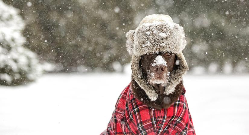 Most az a legbiztosabb, ha reggel kinéz az ablakon indulás előtt, megszólalt az Operatív Törzs is