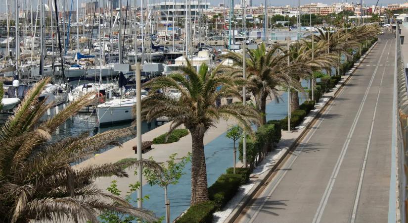 Rejtély a turistaparadicsomban: hatalmas tetemet sodort partra a víz