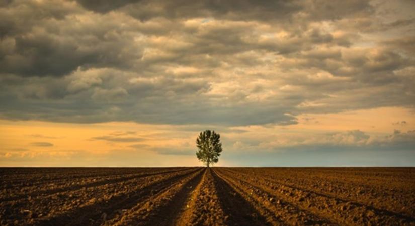 Egy új DNS-vizsgálat átírja a mezőgazdaság eddig ismert történetét