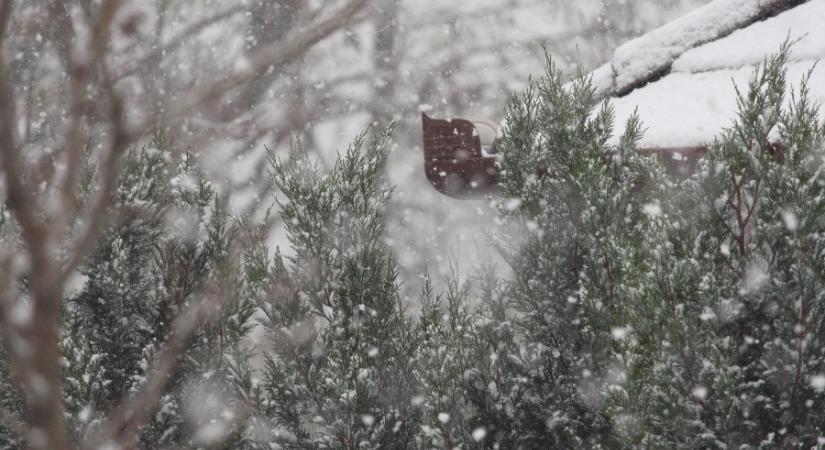 Évszakok harca: neked melyik jut?