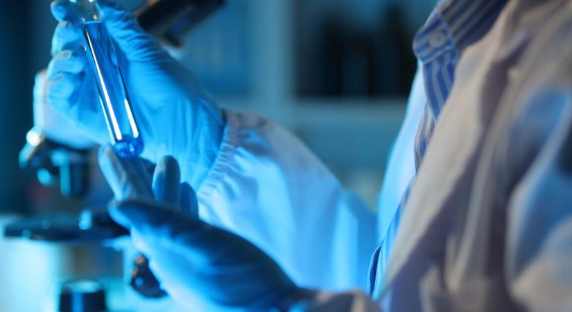 Rejtett rétegét tárták fel a ráknak