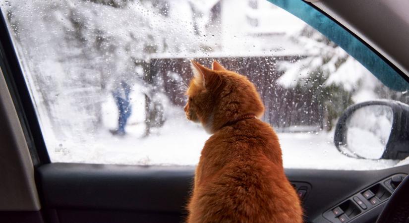 Megérkezik az égi áldás csütörtökön, hó is eshet Győr-Moson-Sopronban